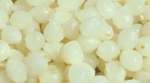 Cipolline boretane