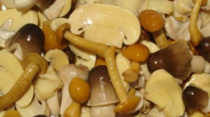 Tris di funghi