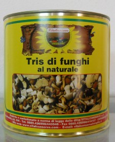 Tris di funghi al naturale